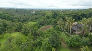 Bali 'nin yoğun yeşil yağmur ormanlarında gizlenmiş lüks bir tatil köyünün alçaktan uçan kulesi.