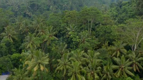 Aerial dolly shot of small rural villages and rice plantations hiding in the thick rainforests in Bali — Stock video