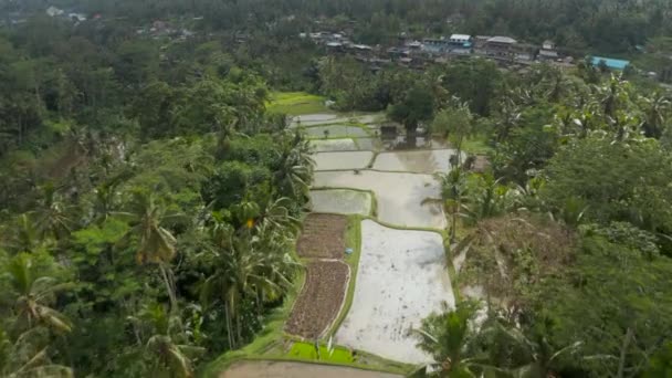 Low flying aerial dolly shot descending down the terraced hill with paddy farm fields and small village on a tropical Bali island — Wideo stockowe