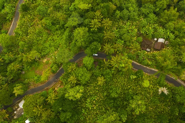 Yukarıdan aşağıya, Endonezya 'nın Bali kentindeki yağmur ormanlarındaki kırsal evden geçen yemyeşil orman arabasıyla asfalt yolda giden bir arabanın hava manzarası.