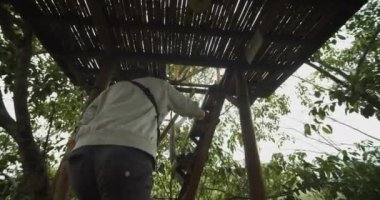 Asya 'daki tropikal iklimde, ağaçtan bir yaban hayatı gözlem kulübesine tırmanan bir adamın daire şeklinde görüntüsü.