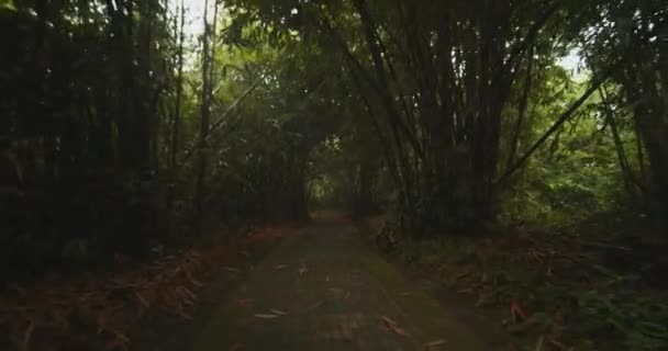 Plano de pov portátil de caminar por el antiguo camino de adoquines a través del túnel de densa vegetación tropical — Vídeo de stock