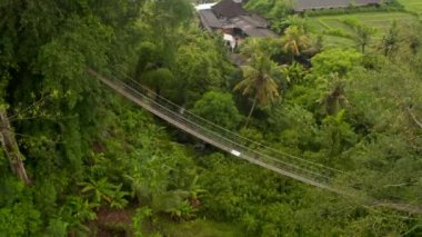 Ormandaki asılı köprünün havadan görünüşü. Tropikal palmiye ağaçlarının tepelerinde asılı ahşap köprü