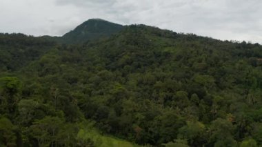 Dağın yamacındaki kalın yeşil tropikal yağmur ormanları. Dağ başındaki koyu yeşil orman manzarası.