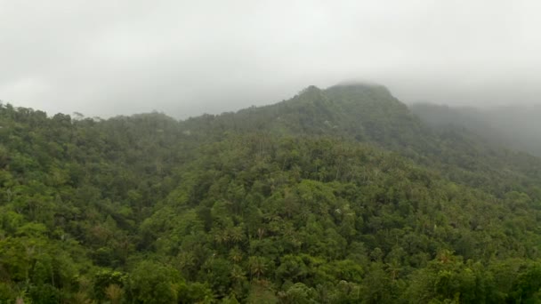Floresta tropical verde exuberante vegetação no lado da montanha nebulosa. Palmeiras na selva nas encostas da colina em um dia nublado — Vídeo de Stock