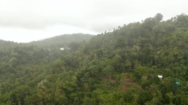 Tropische Bergstraße umgeben von dichtem Regenwald. Luftaufnahme der Dschungel-Asphaltstraße auf der Seite des Berges in Bali — Stockvideo