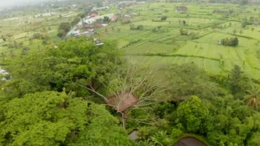 Tropikal ağacın tepesindeki gözcü kulübesinin havadan görünüşü. Bali 'nin kırsal kesimindeki küçük bir köyde asılı köprü ve gözlem platformu manzarası