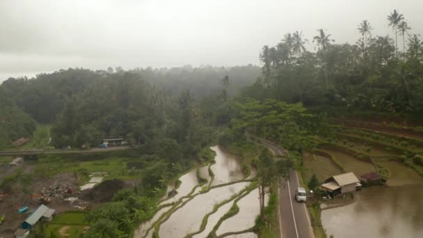 Auta jedoucí po klikaté silnici přes venkovská terasovitá pole na Bali. Letecká panenka záběr rýžových polí plných vody na venkově Indonésie — Stock video