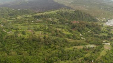 Batur Gölü 'nün açılışı Endonezya, Bali' de tropikal yağmur ormanlarıyla çevrilidir. Vahşi doğa ile çevrili büyük gölün havadan çekilmiş resmi.