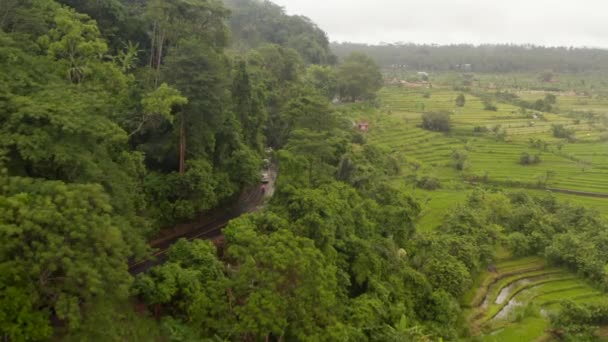 Vista aérea de los vehículos que conducen por el campo rural en Bali bajo la lluvia. Coches y motocicletas que conducen en la carretera cerca de la selva tropical y campos de cultivo de arroz verde exuberante — Vídeo de stock