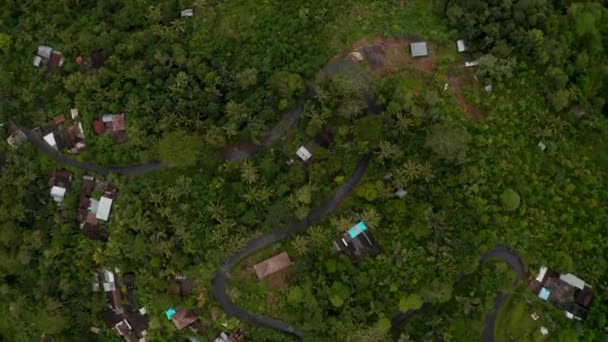 Pequeñas casas tropicales escondidas en la selva. Vista aérea de arriba hacia abajo de las casas rurales rodeadas de bosque lluvioso salvaje y palmeras — Vídeos de Stock