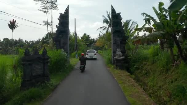 Endonezya 'nın Bali kentindeki pirinç tarlaları boyunca kırsal asfalt caddelerde araba ve motosikletler sürüyor. Asya 'daki tarım arazileri ve pirinç tarlalarından geçen kırsal yollardaki trafiğin havadan görünüşü — Stok video