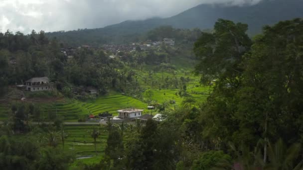 Avslöja fantastiska gröna risfält på kullarna i Bali. Flygfoto dolly utsikt över landsbygden hus och odlingar vid foten av ett berg i Asien — Stockvideo
