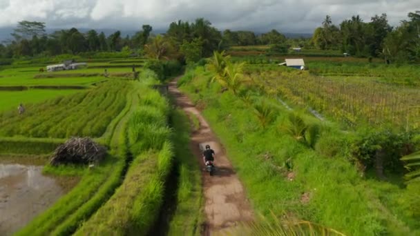 Człowiek na motocyklu jadący przez wiejskie tereny tropikalne z polami ryżowymi i palmami na Bali w Indonezji. Turysta zwiedzający azjatycką wieś — Wideo stockowe
