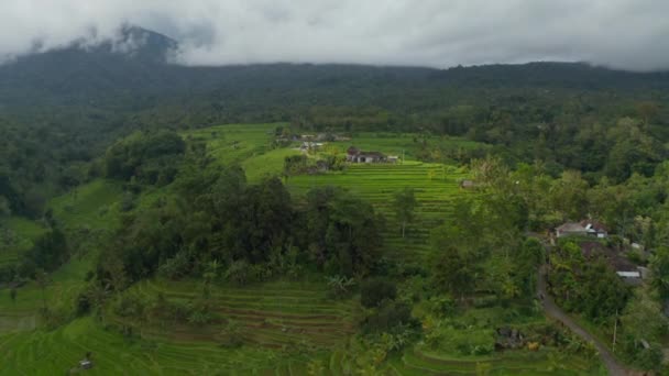 Rýžová pole a farmářské plantáže na terasových kopcích na Bali. Sestupující letecký pohled na venkovskou krajinu pod zamračenou horou v Indonésii — Stock video