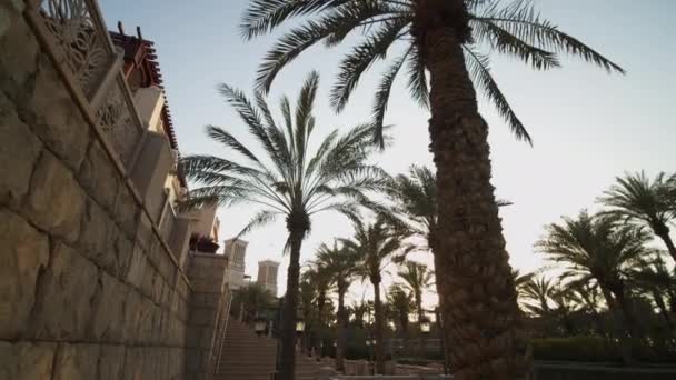 Gatuvy över lyxigt bostadsområde med palmer i Dubai. Promenader på gatorna i Förenade Arabemiraten på kvällen varm sol — Stockvideo