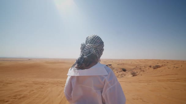 Vue arrière d'une jeune femme à la tête couverte regardant le désert. Touriste regardant le désert depuis une dune de sable — Video