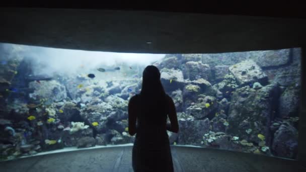 ドバイ水族館の大型水槽に向かって歩く女性。サンゴ礁の上に様々な熱帯魚を持つ屋内水族館の女性のシルエット — ストック動画