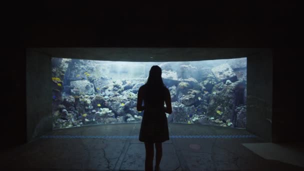 Mujer viendo exposición acuario con grandes arrecifes de coral y peces tropicales. Vista trasera de una mujer caminando hacia una gran pecera en el Acuario de Dubai — Vídeos de Stock