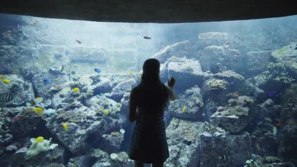 Kvinnan rör vid utställningsglaset i Dubai Aquarium. Turist njuter av utsikten över tropiska fiskar i stora akvarium akvarium akvarium — Stockvideo