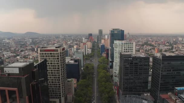 Vista aérea de los altos edificios comerciales de la ciudad. Adelante dron en movimiento siguiendo el bulevar principal bordeado de árboles. Cielo nublado antes de la lluvia. — Vídeos de Stock