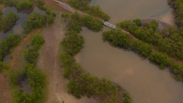 Nedtonade bilder av våtmarker. Flygfoto över leden med planka bro som leder genom vattenmättad jord. Naturreservat. Rio Lagartos, Mexiko. — Stockvideo