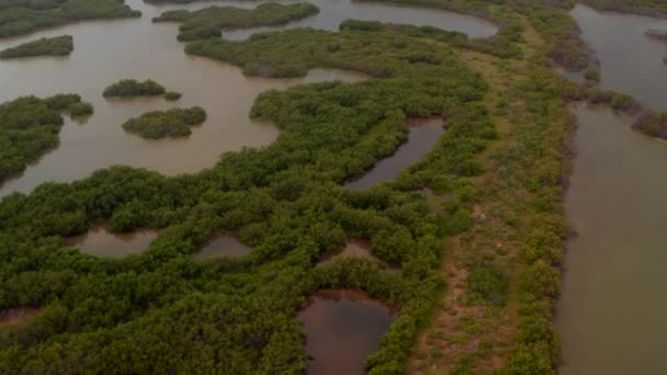 Нападающие показывают кадры тропического прибрежного пейзажа. Вид с воздуха на озера и болота в дождевом лесу. Заповедник. Рио-Лагартос, Мексика. — стоковое видео