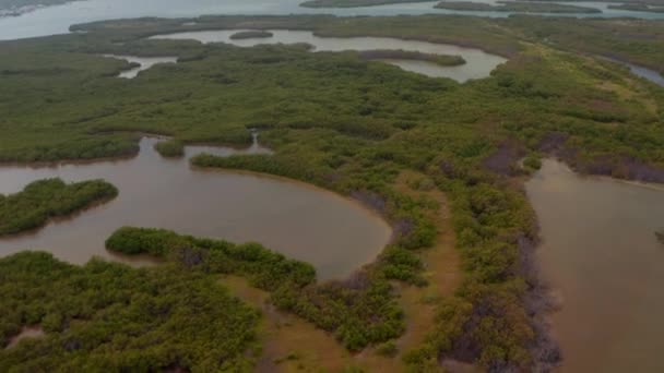 En avant révélant des images inclinables du paysage de la forêt tropicale humide avec des lacs et des marécages. Vue aérienne imprenable sur une réserve naturelle unique. Rio Lagartos, Mexique. — Video