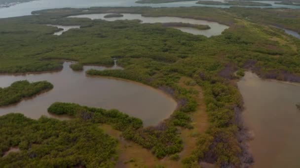 Adelante revelando imágenes inclinadas del paisaje de la selva tropical con lagos y pantanos. Increíble vista aérea de la reserva natural única. Rio Lagartos, México. — Vídeo de stock