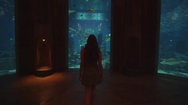 Dubai 'de bir akvaryumun içinde yürüyen bir kadın, mercan resifinde çeşitli tropikal balıklarla birlikte kapalı bir akvaryumda bir kadının siluetine bakıyor.