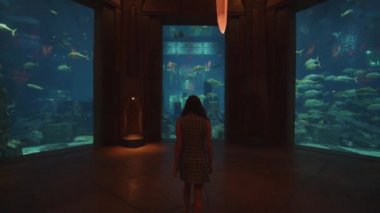 Dubai 'de tropikal balıklarla akvaryum sergisine giden bir kız. Akvaryumdaki büyük akvaryuma doğru yürüyen bir turist.