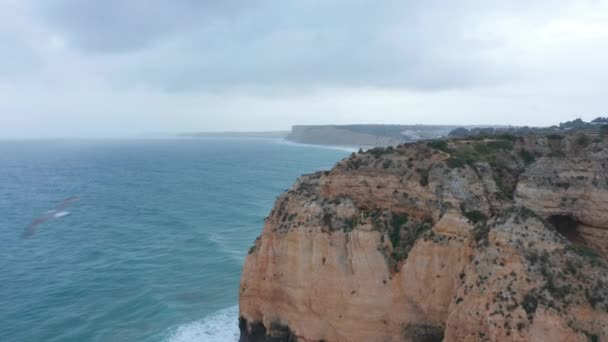 Vista aérea de drones de Lagos espetacular costa atlântica rochosa, gaivota voando, Portugal, dolly in, dia nublado — Vídeo de Stock