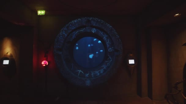 Slow motion forward view of circular designed window outside large glass of The Dubai Aquarium showing a smack of beautiful blue jellyfish glowing and swimming — Stock Video