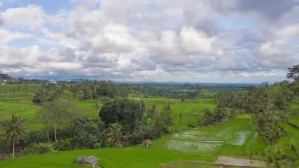 Вперед, над зеленым тропическим ландшафтом, остров Бали, Индонезия. Вид с воздуха рисовых полей террасы. Гиперлапс с облаками, плывущими по небу, беспилотник Hyper Lapse Dolly — стоковое видео