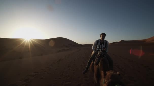 Kilátás középkorú férfi lovaglás teve a sivatagban. Sziluett a felkelő nap ellen. Tiszta ég. Marokkó, Afrika — Stock videók