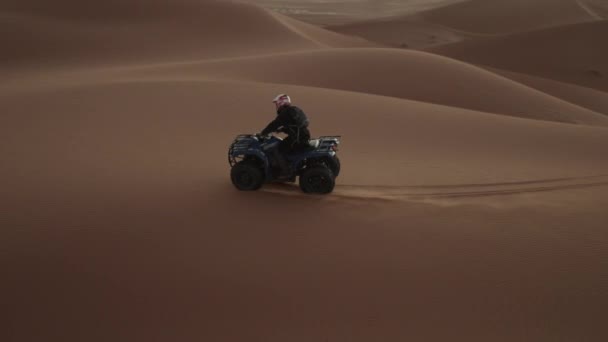 Berpasangan di bukit pasir pada quad. Menikmati perjalanan di pasir halus dan meninggalkan jejak ban di permukaan halus. Maroko, Afrika — Stok Video