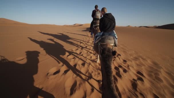 POV kameel rijden in de woestijn. Caravan langzaam wandelen in diep fijn zand. Schaduwen van bewegende rij geprojecteerd op de grond. Marokko, Afrika — Stockvideo