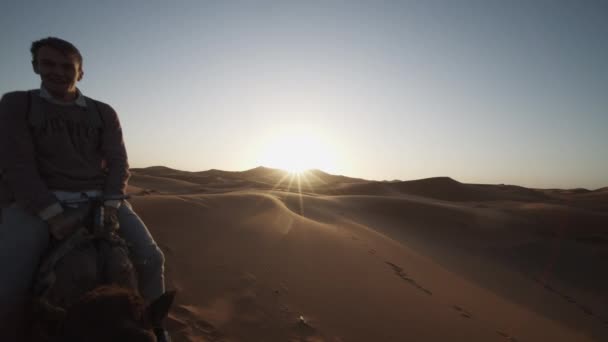 A turisták visszafelé haladva tevéket lovagolnak a lakókocsiban a homoksivatagban. Reggeli kilátás a felkelő nap ellen. Marokkó, Afrika — Stock videók