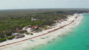 Kalabalığın panoramik görüntüsü güneşli bir günde tropikal bir plajda dinlenirken Meksika 'nın Tulum şehrinde geniş bir ormanla oynarken, koşarken, yürürken, yatarken ve yüzerken