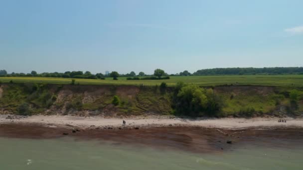 Veduta aerea drone di vasto campo verde primaverile campagna, Mar Baltico, Brodten, Germania, indietro, giornata di sole — Video Stock