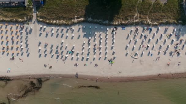 Εναέρια πουλιά μάτι από πάνω προς τα κάτω θέα της τουριστικής παραλίας στο Scharbeutz, Γερμανία, με ξαπλώστρες και τους ανθρώπους ηλιοθεραπεία, πλάγια, ηλιόλουστη μέρα — Αρχείο Βίντεο