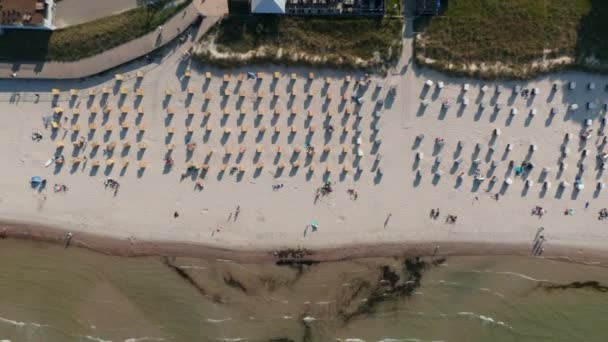 Praia turística no mar Báltico vista de aves aéreas olho de cima para baixo vista drone, praia com cadeiras e turistas desfrutando do sol de verão, lateralmente, dia — Vídeo de Stock
