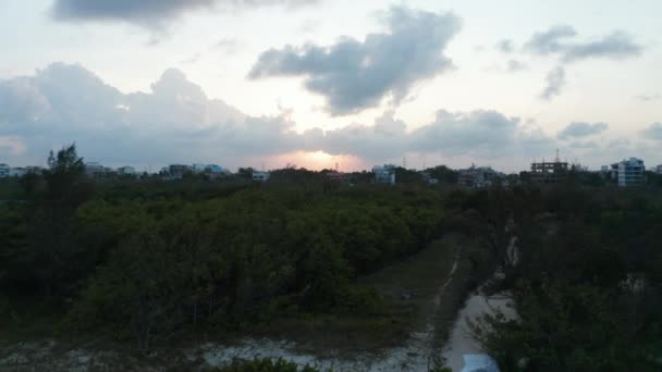 Вид с воздуха на многоэтажные здания и густой лес. Беспилотник летит назад, открывая море и песчаный пляж на береговой линии — стоковое видео