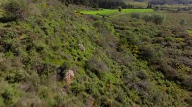 Görkemli Dağlarla çevrili Bereketli Vadi 'nin Havadan Görünümü.