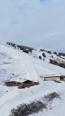 Kış tatili sırasında Alplerdeki karlı yamaçlarda kayak yapan insanların dikey videosu..