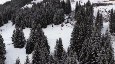 Avusturya 'nın Saalbach kentindeki Alpler' de bir kış günü karlı bir çam ormanıyla çevrili bir yamaçtan inen kayakçıların statik hava görüntüleri..
