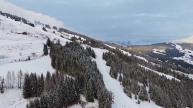 Avusturya 'da kış tatilinde etrafı ormanla çevrili karlı bir yamaçta kayakçılarla Alpler' deki kayak merkezinin hava manzarası..