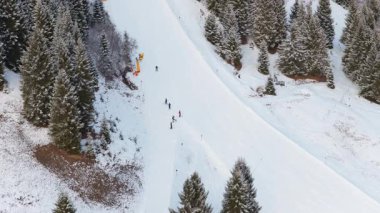 Kış tatilinde Alpler 'de bir çam ormanıyla çevrili karlı bir yamaçtan inen kayakçıların yüksek perspektifi..