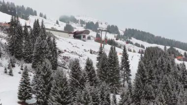 Alplerdeki kayak merkezinin manzarası yükseldi. Yamaçlarda kayakçıların ve sandalyelerin çam ağaçlarıyla karlı bir dağa tırmandığını gösteriyor..