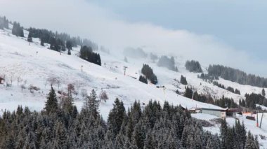Alp Dağları 'ndaki kayak merkezinde teleferikli karlı yamaçlar, çam ormanları ve kışın hava manzaralı bir kayak merkezi görülüyor..